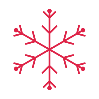 6 arm snowflake with 2 branch tiers and bead tips at 45 degrees.