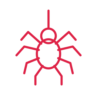 Eight leg Halloween spider.