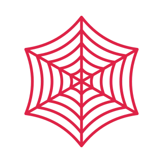 6 spoke spider web with 5 rings.