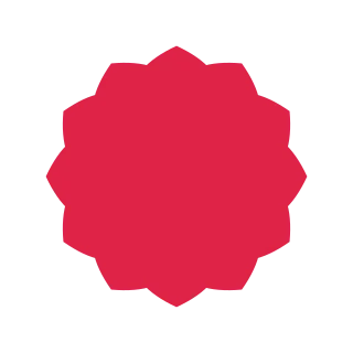 A radial flower has 12 pointed petals arranged around a circular centre.