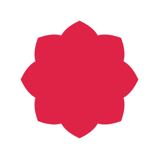 A radial flower has 8 pointed petals arranged around a circular centre.