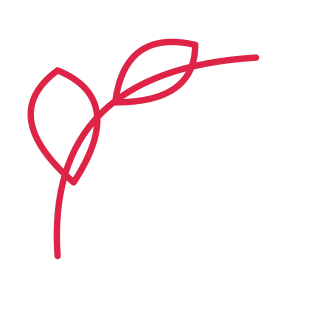 A leaf corner ornament opens towards the centre from the top left corner.