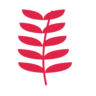 A slender curved stem carries 5 pairs of willow leaves, with shorter growth towards its tip.