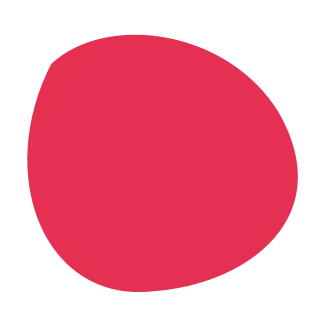 A rounded red organic shape with an asymmetric outline.