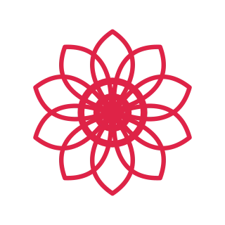 A radial flower has 10 layered petals arranged around a circular centre.