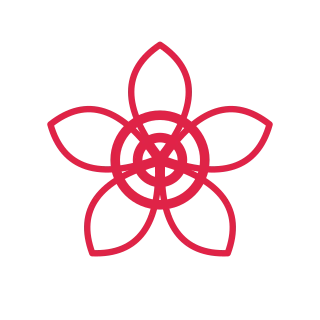 A radial flower has 5 layered petals arranged around a circular centre.