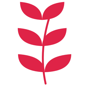 A slender curved stem carries 3 pairs of willow leaves, with shorter growth towards its tip.