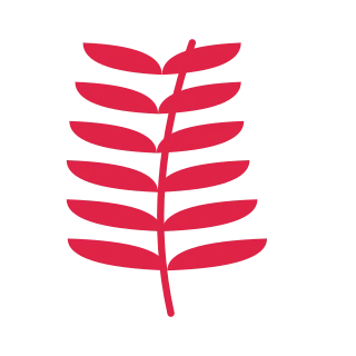 A slender curved stem carries 6 pairs of willow leaves, with shorter growth towards its tip.