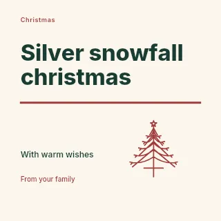 Silver snowfall Christmas · Typography & ornament