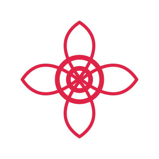 A radial flower has 4 layered petals arranged around a circular centre.