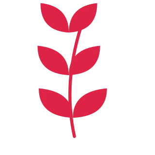A slender curved stem carries 3 pairs of almond leaves, with shorter growth towards its tip.