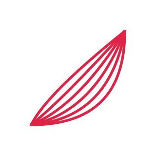 A fan corner ornament opens towards the centre from the bottom right corner.
