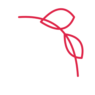 A leaf corner ornament opens towards the centre from the top right corner.