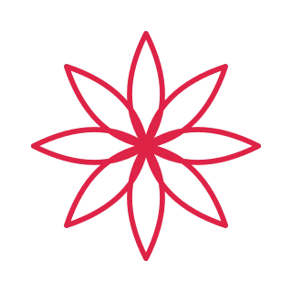8 petal rosette flower.