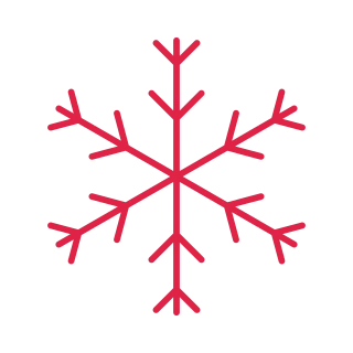 6 arm snowflake with 2 branch tiers at 45 degrees.