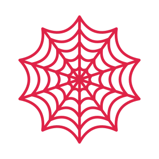 10 spoke spider web with 5 rings.