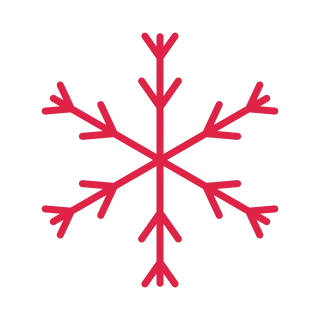 Six branch winter snowflake.