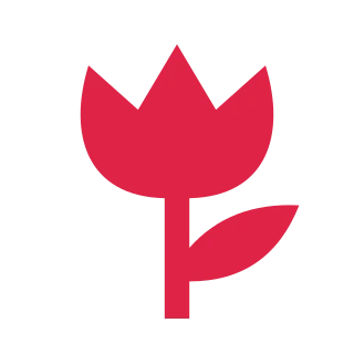 A three-point tulip flower rises on a straight stem beside one broad leaf.