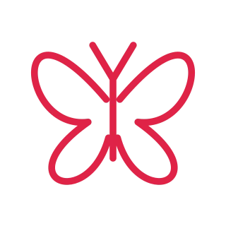 Four open wing loops form a symmetrical butterfly around a slender body.