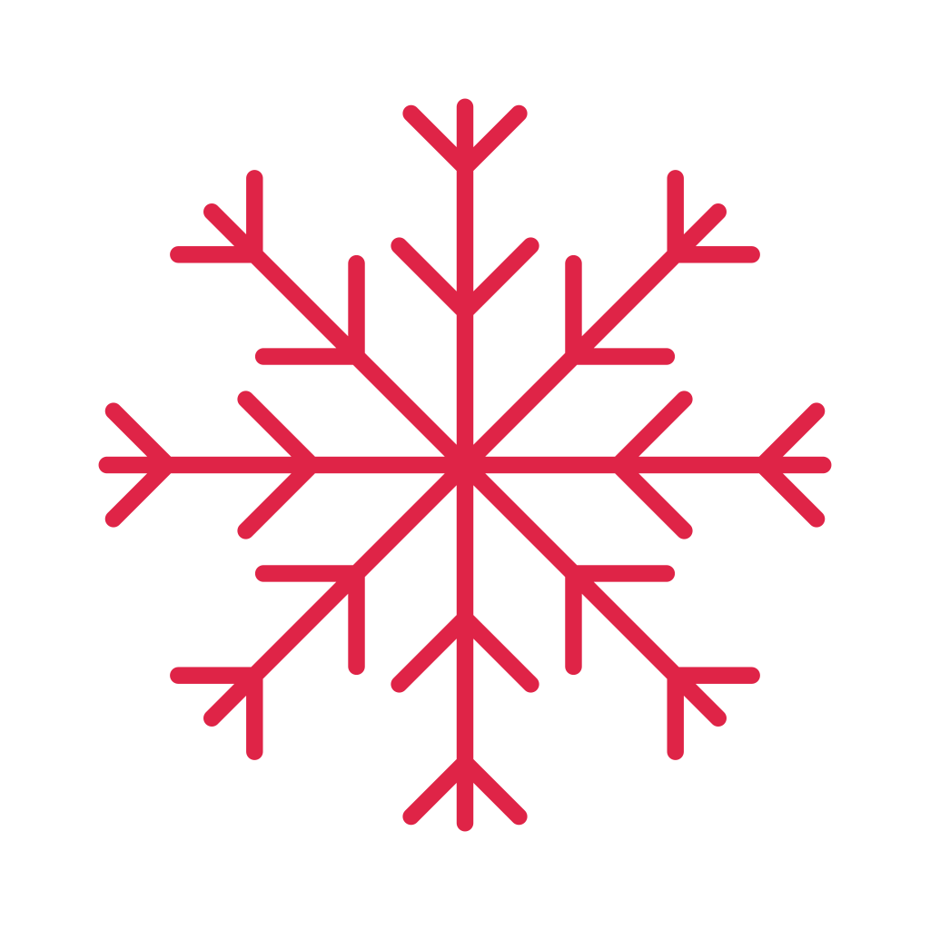 8 arm snowflake with 2 branch tiers at 45 degrees.