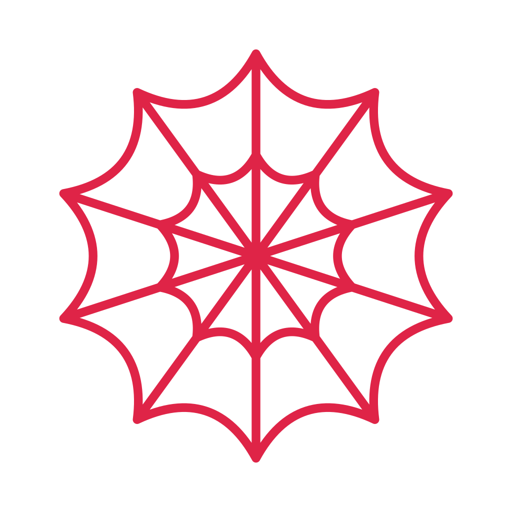 10 spoke spider web with 2 rings.