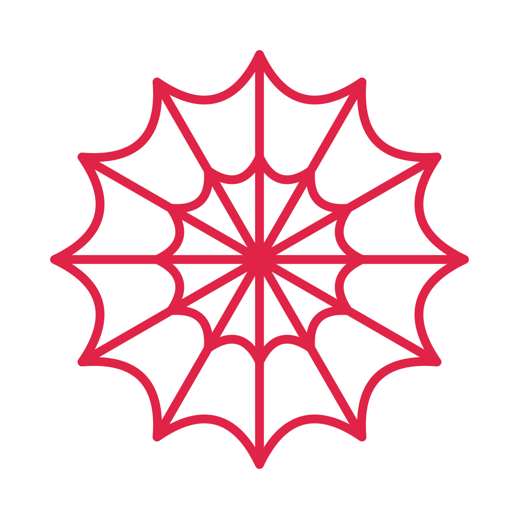 12 spoke spider web with 2 rings.