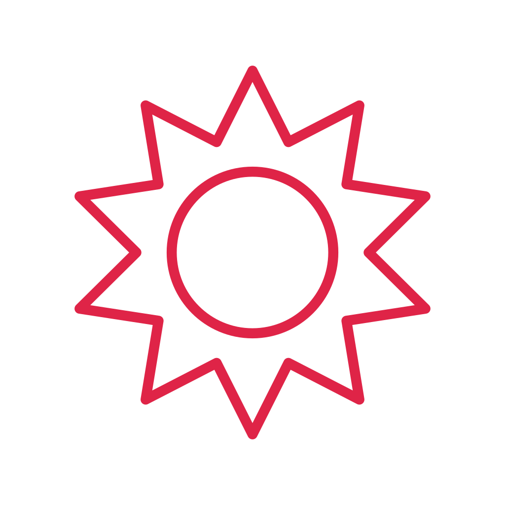 A double radial badge has 10 evenly spaced outward points and an inner circular ring.