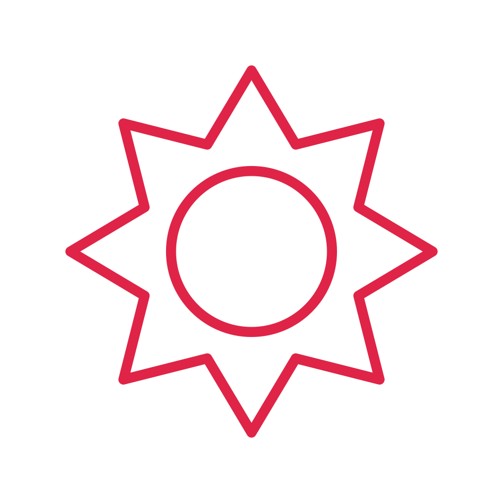 A double radial badge has 8 evenly spaced outward points and an inner circular ring.