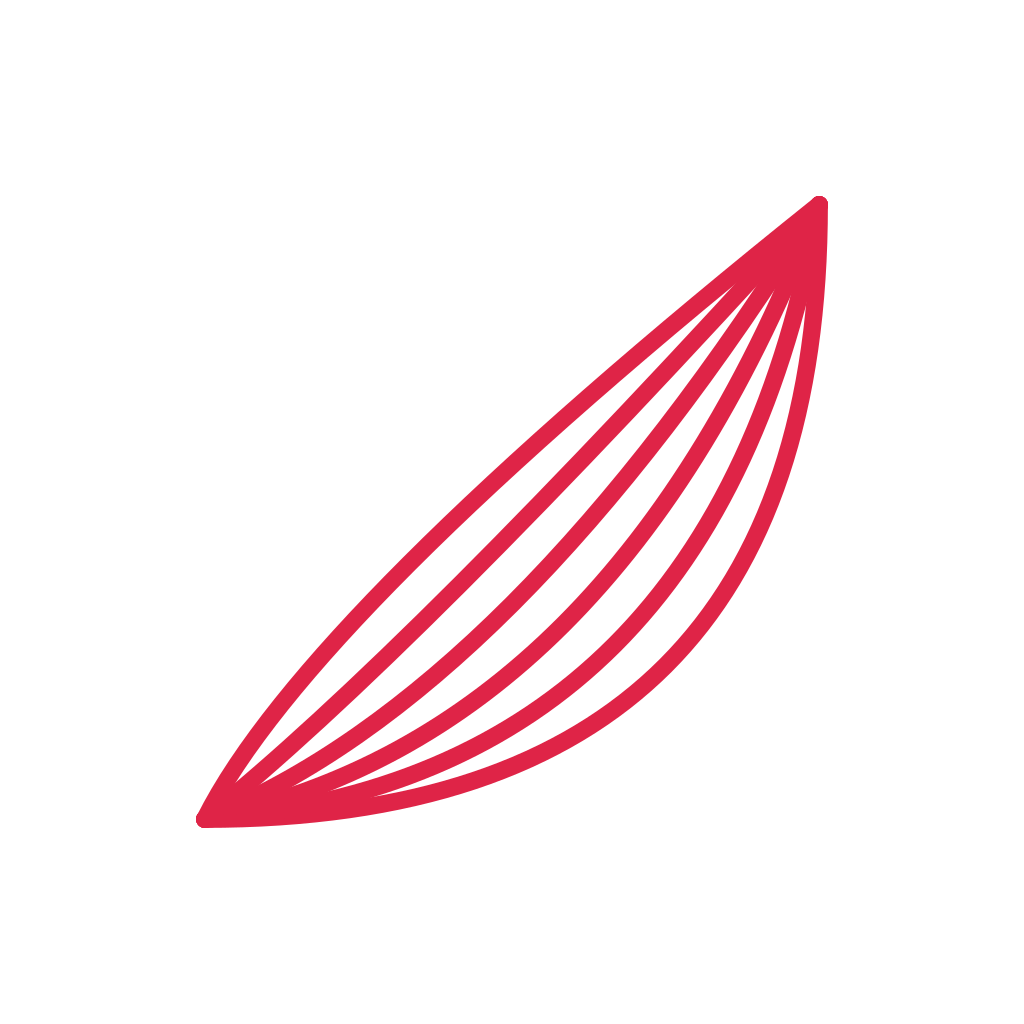 A fan corner ornament opens towards the centre from the bottom right corner.
