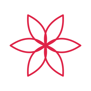 6 petal rosette flower.