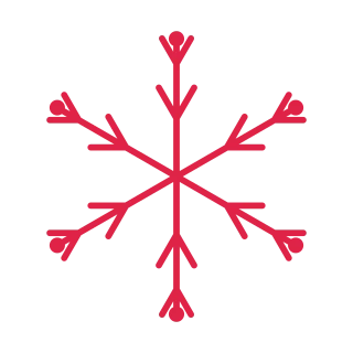 6 arm snowflake with 2 branch tiers and bead tips at 30 degrees.