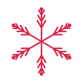 6 arm snowflake with 3 branch tiers and bead tips at 30 degrees.
