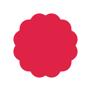 A radial flower has 12 rounded petals arranged around a circular centre.