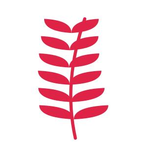 A slender curved stem carries 6 pairs of almond leaves, with shorter growth towards its tip.