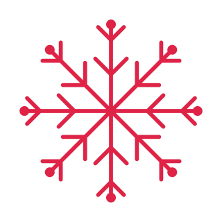 8 arm snowflake with 2 branch tiers and bead tips at 45 degrees.