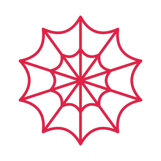 10 spoke spider web with 2 rings.