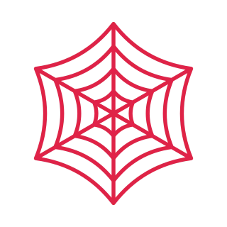 6 spoke spider web with 4 rings.