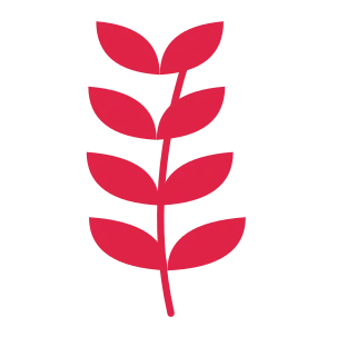 A slender curved stem carries 4 pairs of almond leaves, with shorter growth towards its tip.