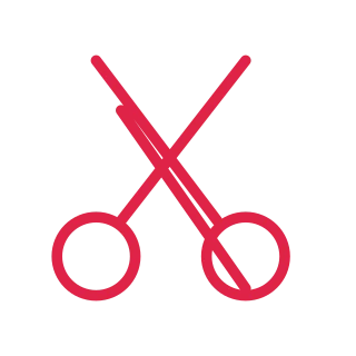 Two round handles connect to crossed, pointed scissor blades.