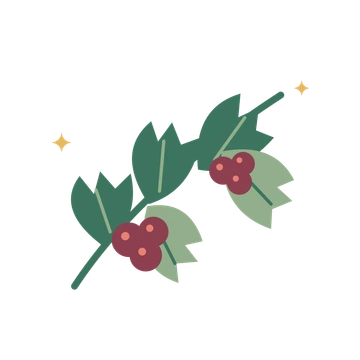 An asymmetric holly branch with deep green spiked leaves, sage foliage and burgundy berries with coral highlights.