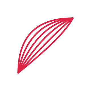 A fan corner ornament opens towards the centre from the top left corner.