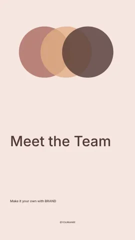 Meet the Team · Orbit 3 instagram story template