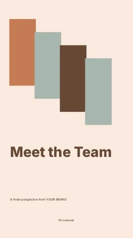 Meet the Team · Terrace 2 instagram story template