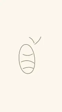 Painted egg afternoon · Corner accent phone wallpaper template
