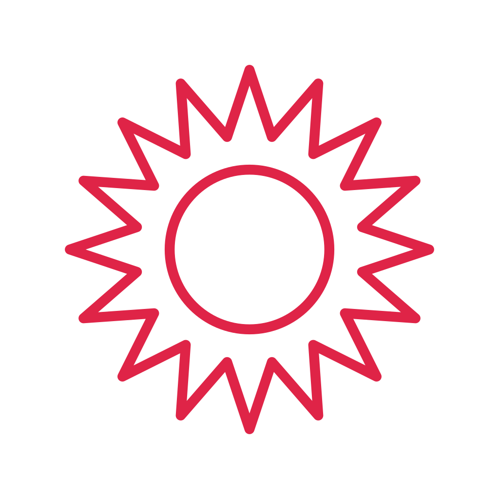 A double radial badge has 16 evenly spaced outward points and an inner circular ring.