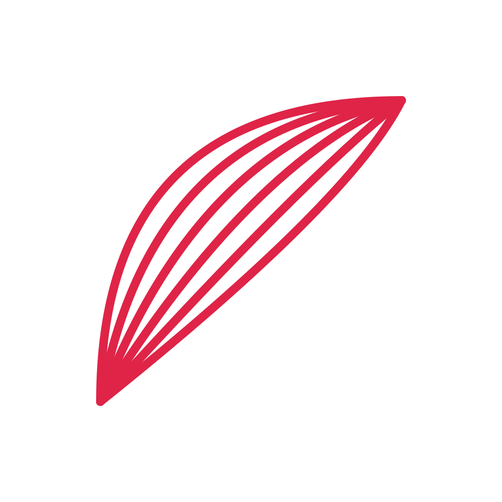 A fan corner ornament opens towards the centre from the top left corner.