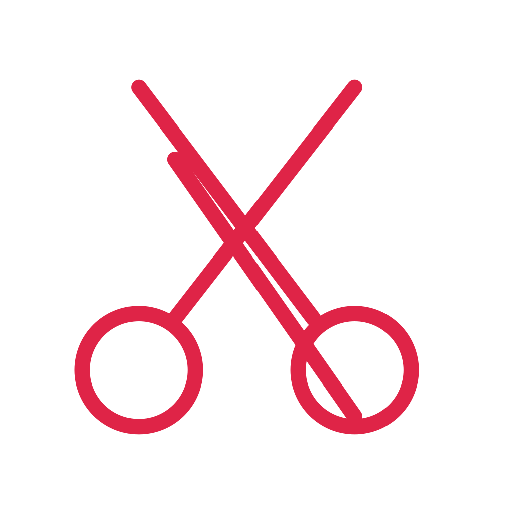 Two round handles connect to crossed, pointed scissor blades.
