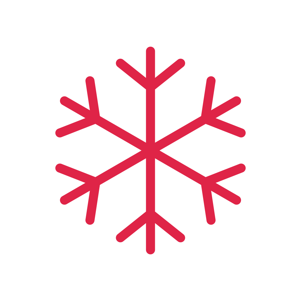 Six branching arms radiate evenly from the centre of a snowflake.