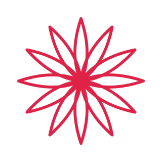 12 petal rosette flower.