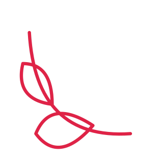 A leaf corner ornament opens towards the centre from the bottom left corner.